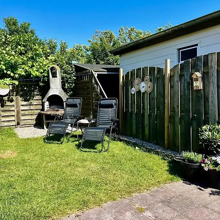 In Park With Fenced Garden