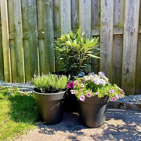Дом отдыха In Park With Fenced Garden