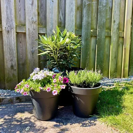 In Park With Fenced Garden *