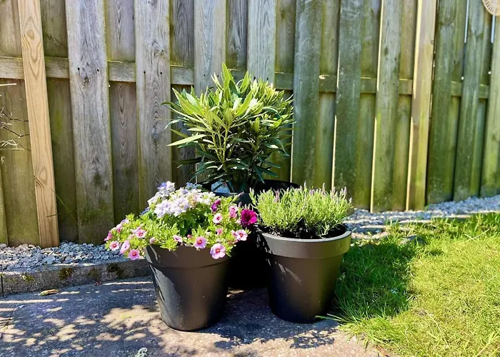 In Park With Fenced Garden *